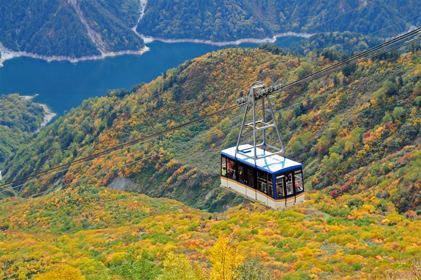 三零深度北陸全覽8日|楓染立山黑部~上高地輕健行!黑部峽谷鐵道.小諸蒸餾所.戶隱神社.善光寺.金箔體驗.鰻魚飛驒牛美食|保住犬山英迪格